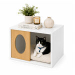 CUBOPET 02 02 2