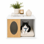 CUBOPET 02 02 3
