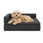 SOFBAULPET 0271 2